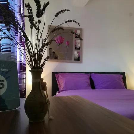 Apartment Ante *